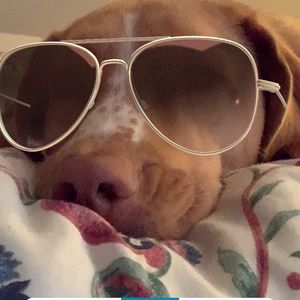 Meet your Posher, Janice